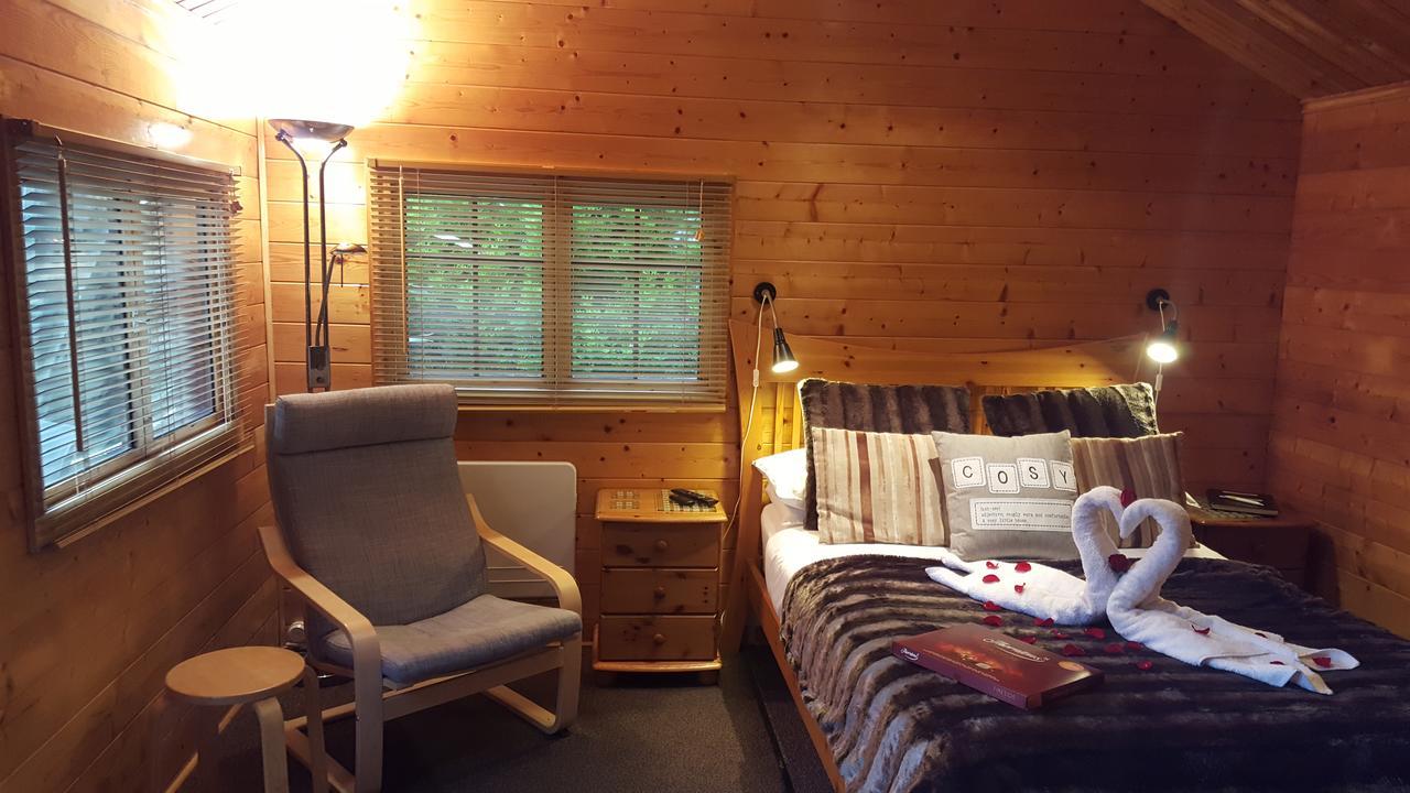 Cypress Log Cabins Accommodation Godshill  المظهر الخارجي الصورة